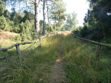 Schermbeck : Impressionen aus dem Naturschutzgebiet Loosenberge